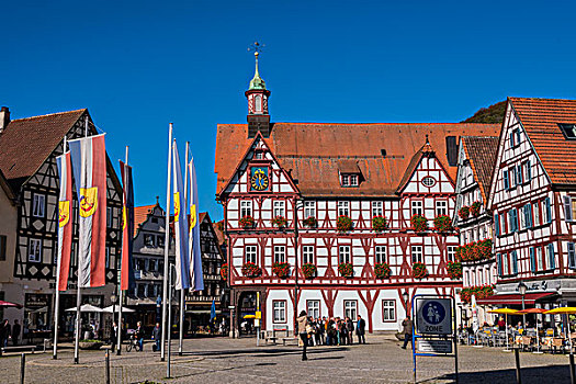 市场,市政厅,德国,巴登符腾堡,欧洲