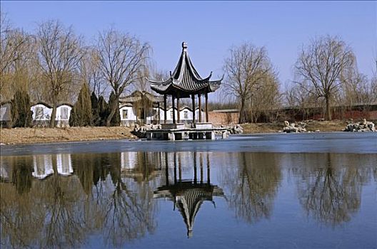 中国,北京,庙宇,位置,亭子,反射,湖
