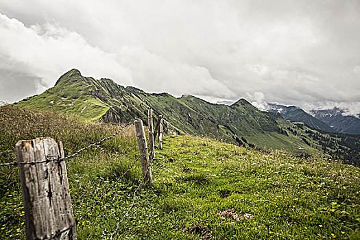 线,栅栏,草,乡村,山坡