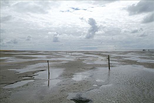 风景,水