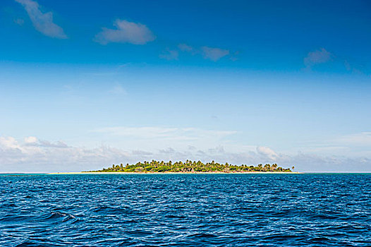 小,岛屿,白沙滩,汤加,南太平洋