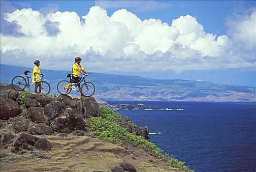 夏威夷,毛伊岛,山地车手,享受,风景,海岸,站立,悬崖