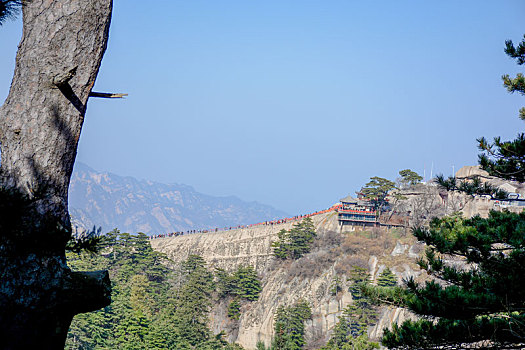 华山春日盛景