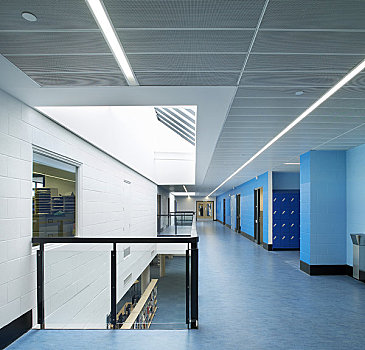 大学,建筑师,2008年,内景,展示,鲜明,宽敞,走廊