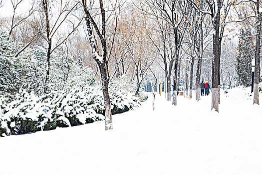 雪景