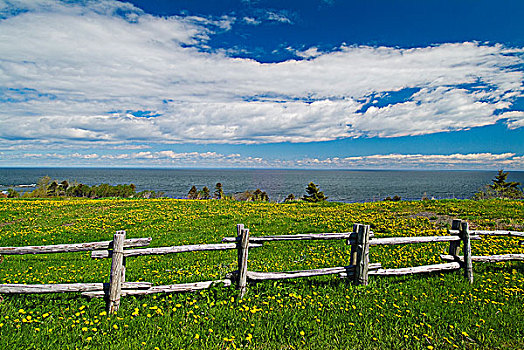 栅栏,农田,魁北克,加拿大