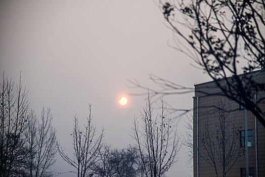 冬季户外看到的日偏食现象