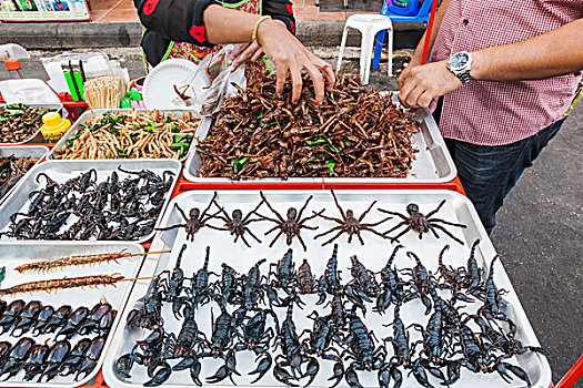 泰国,曼谷,道路,街道,出售,展示,油炸,昆虫