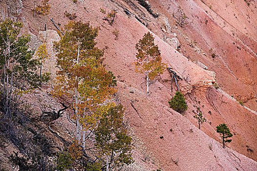 美国布莱斯峡谷国家公园,brycecanyonnationalpark