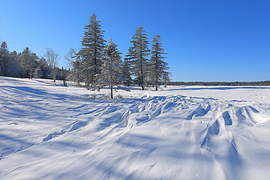 老里克湖冰雪风光