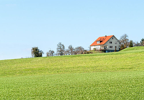房子,草地