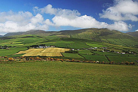 绿色,土地,山,靠近,芒斯特,区域,凯瑞郡,爱尔兰