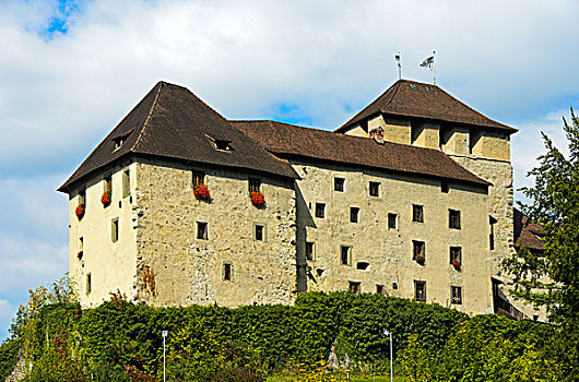 城堡,奥地利,欧洲