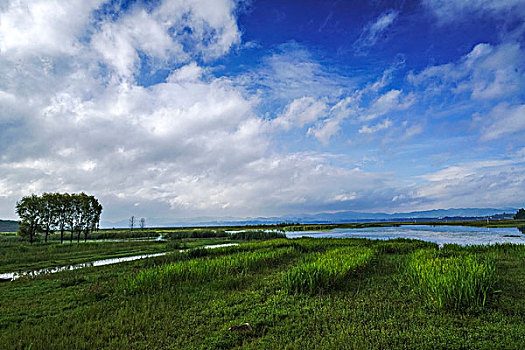 户外风景