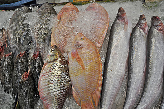 鱼肉,冰,市场货摊,曼谷,泰国