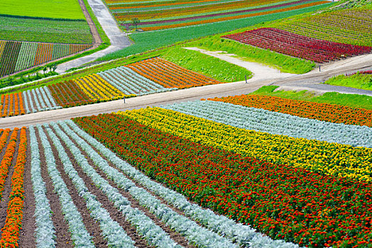 花圃,北海道,日本