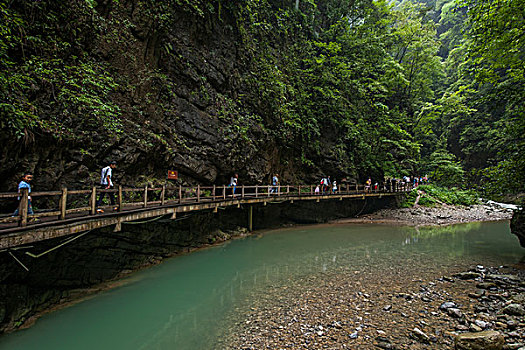 重庆著名风景区黑山谷峡谷