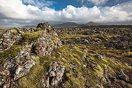 冰岛,苔藓,遮盖,熔岩原