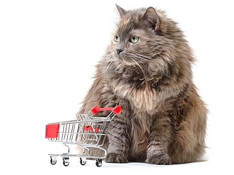 猫,购物车