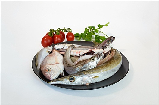 鱼肉,种类,地中海,大浅盘,黑色背景,盘子