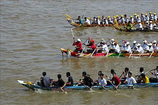大,划艇,竞争,许多,桨手,水,节日,金边,柬埔寨,东南亚