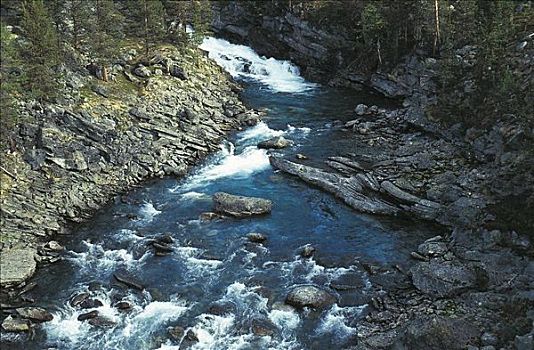 清水,河,国家公园,挪威,斯堪的纳维亚,欧洲