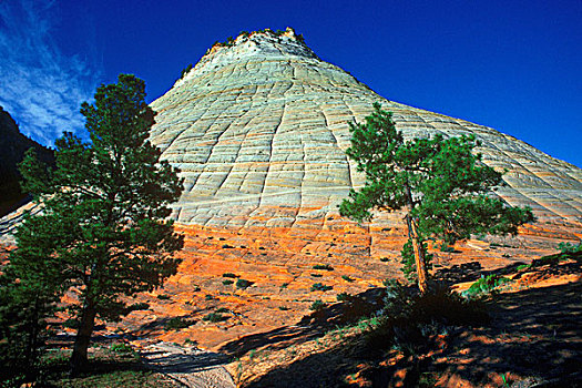 锥形,岩石构造,红色,锡安国家公园,犹他,美国