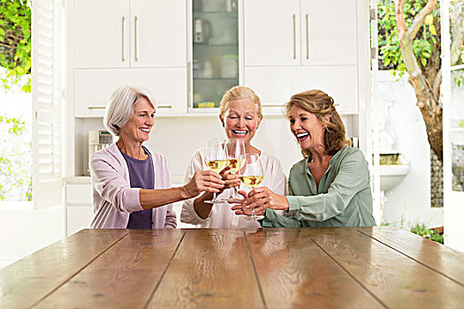 老年,女人,祝酒,葡萄酒杯,厨房