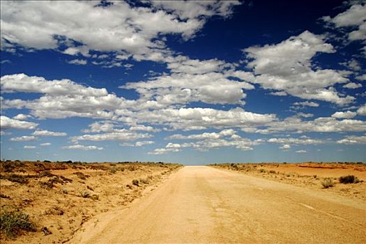 尘土,道路,疏林草原,澳洲南部