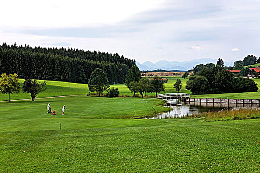 高尔夫,场地,齐姆高,上巴伐利亚,德国,欧洲