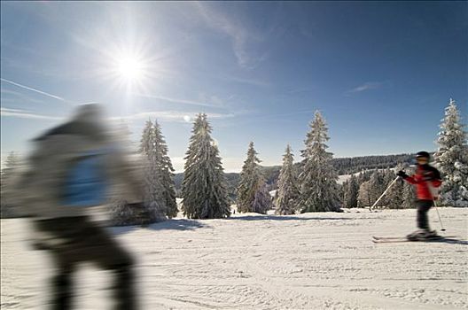 雪,白霜,遮盖,冷杉,太阳,蓝天,滑雪者,滑雪板,动感,黑森林,巴登符腾堡,德国,欧洲
