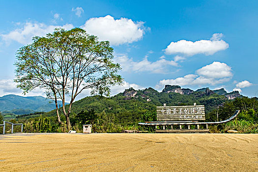 武夷山最美溪流标牌