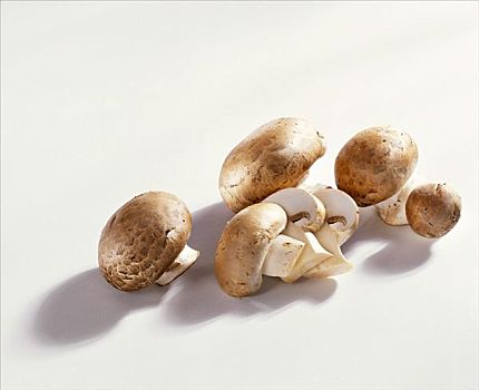 几个,褐蘑菇
