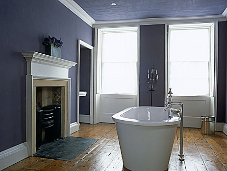 单独,浴缸,正面,壁炉,传统风格,浴室