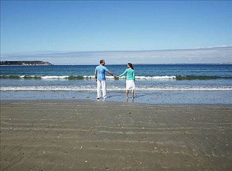 伴侣,站立,海滩,握手,后视图