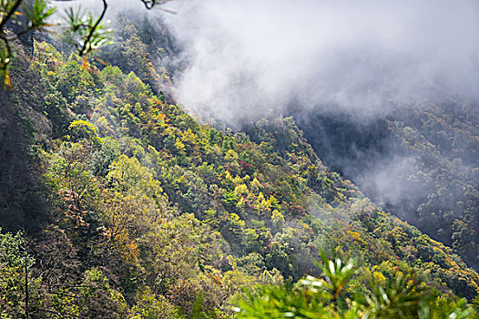 神农架林区天燕风景区初秋