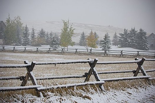 积雪,围栏,地点,加拉廷,蒙大拿,美国