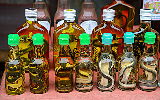老挝,琅勃拉邦,瓶子,眼镜蛇,威士忌,大幅,尺寸