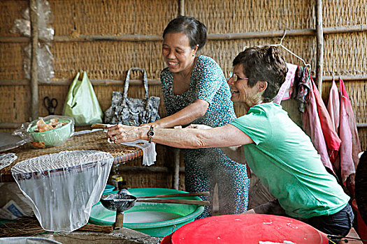 游客,糯米纸,流行,停止,湄公河,越南