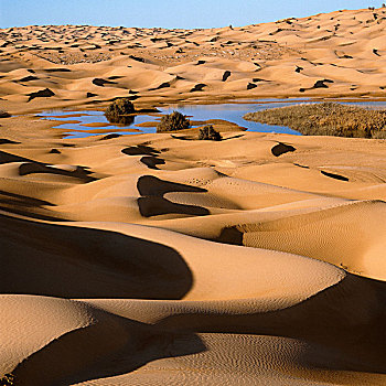 突尼斯,撒哈拉沙漠,东部大沙漠,沙丘,湖