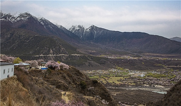 雅鲁藏布江大峡谷风光