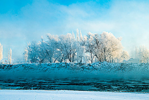 冬日,雪景,雪地,蓝天,雾松