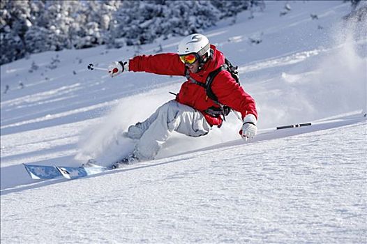 奥地利,男人,滑雪,斜坡,微笑