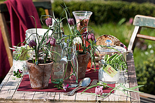 贝母属植物,开盖瓶,花盆,桌饰