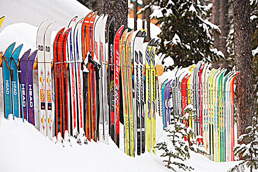栅栏,室外,滑雪,顶峰,山,滑雪胜地,潘提顿,不列颠哥伦比亚省,加拿大