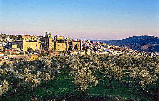 埃斯特雷马杜拉,风景,城镇,15世纪,大教堂,圣马利亚