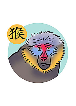 中国,黄道十二宫,黄道宫形,猴子,插画,山魈