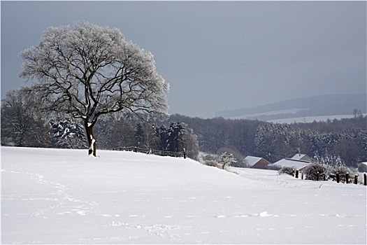 雪