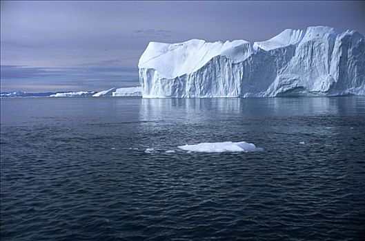 冰山,漂浮,海洋,格陵兰