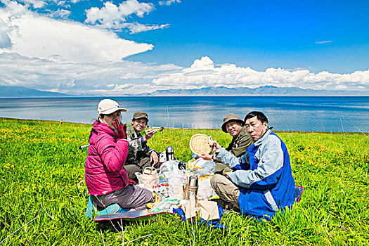 新疆,野花,草地,湖泊,野餐
